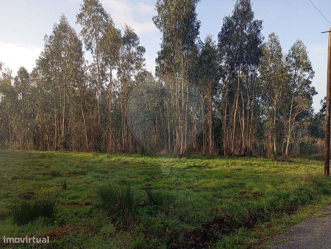 Terreno  para venda - Grande imagem: 3/7