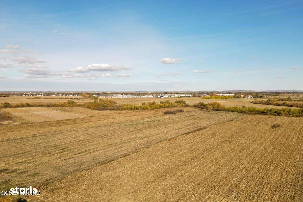 Bucovat - Lot Intravilan 2.27 Ha, PUZ inceput, Rezidential + Servicii - Imagine principală: 4/10