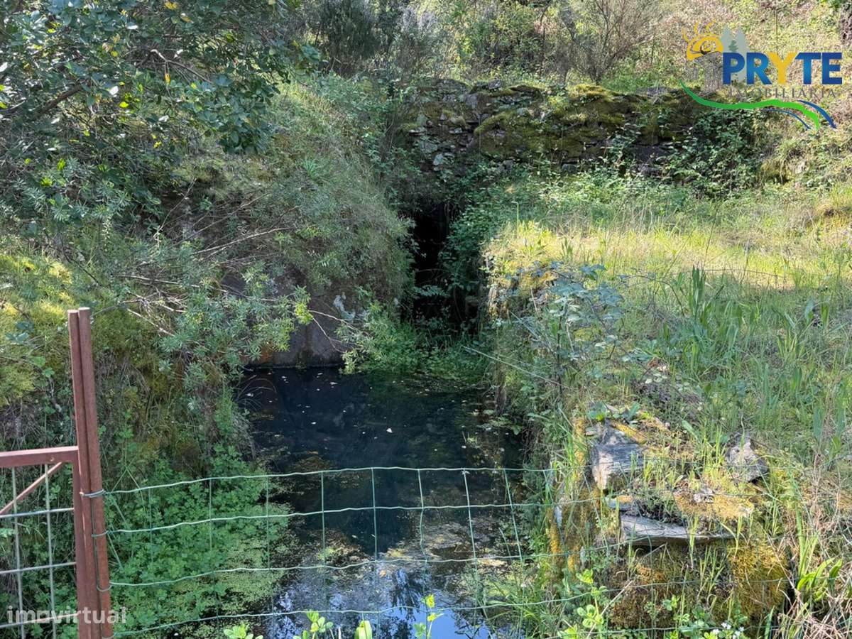 Terreno com uma ruína não registada a 6 quilómetros da Sertã-5