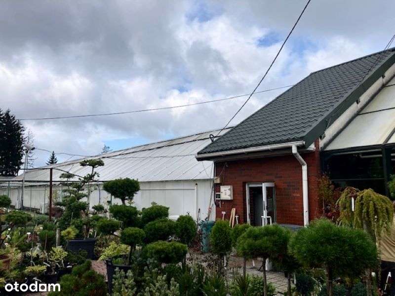 Wynajem lub Sprzedaż Hala Magazyn Biuro - Pełny obrazek: 5/8