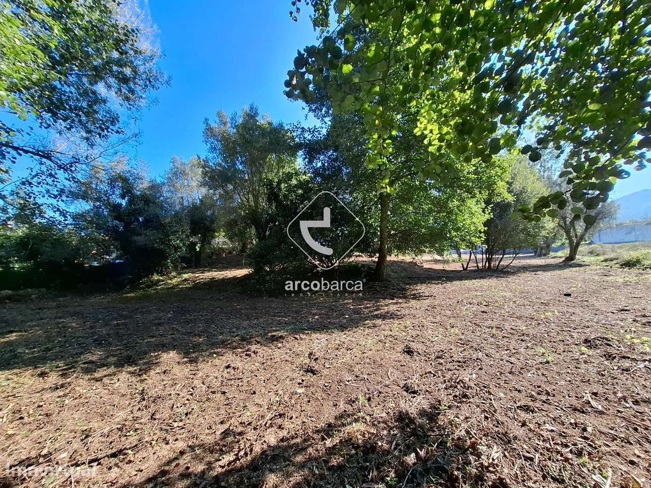 Quinta p/ restaurar com 6.200m2 - Ribeira/Ponte de Lima-42