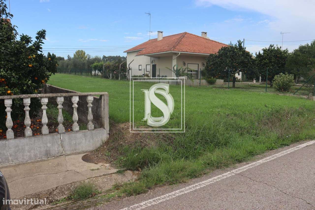 Lote para Construção - Alferrarede - Abrantes - Grande imagem: 5/12