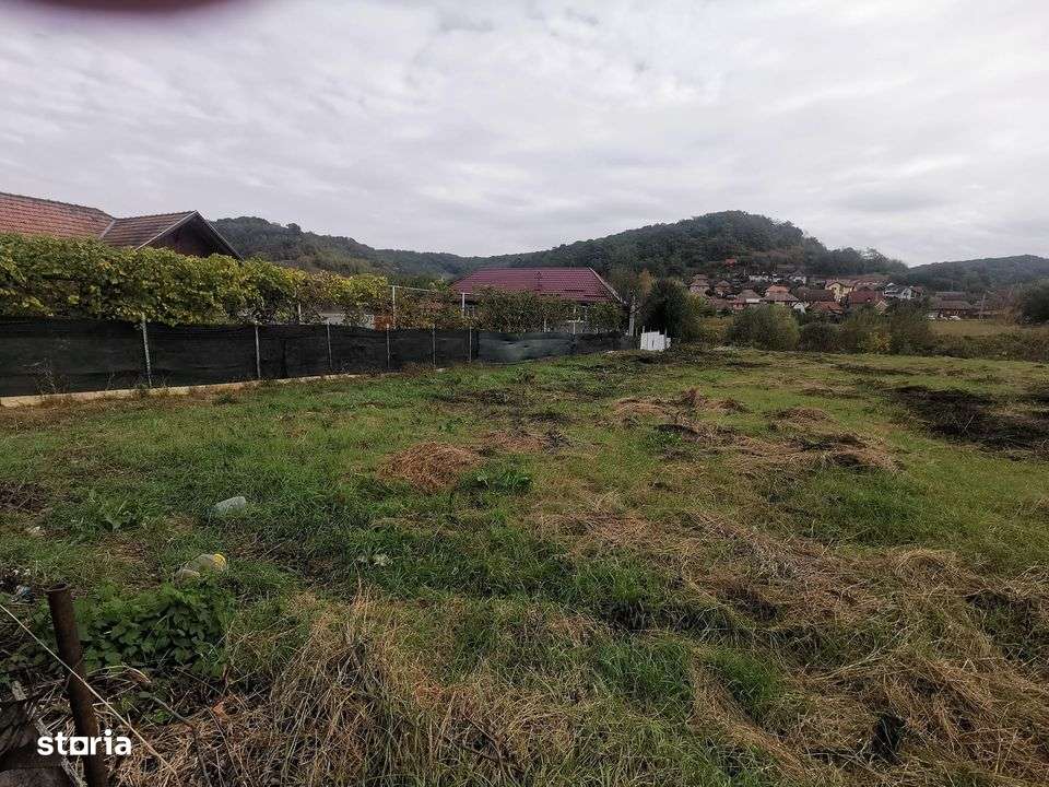 Teren intravilan de vanzare - Medias-2