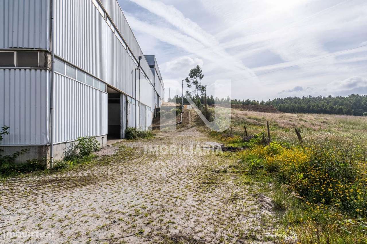 Armazém em Ribeirão-28