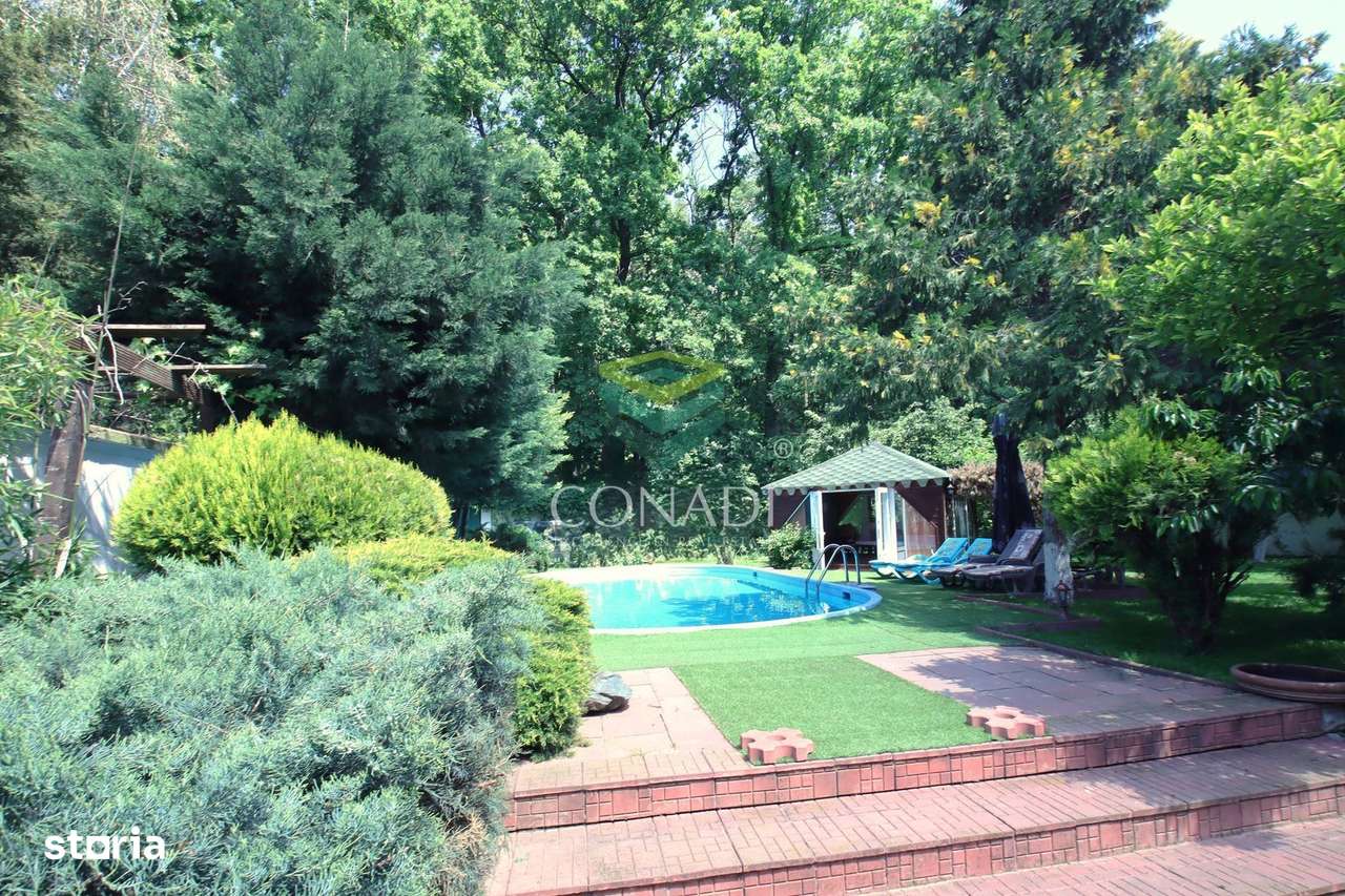 Exclusivitate / Iancu Nicolae-Pipera, vila cu piscina, langa padure-1
