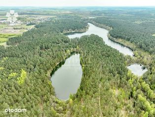 Domek na Kaszubach z widokiem na jezioro i las