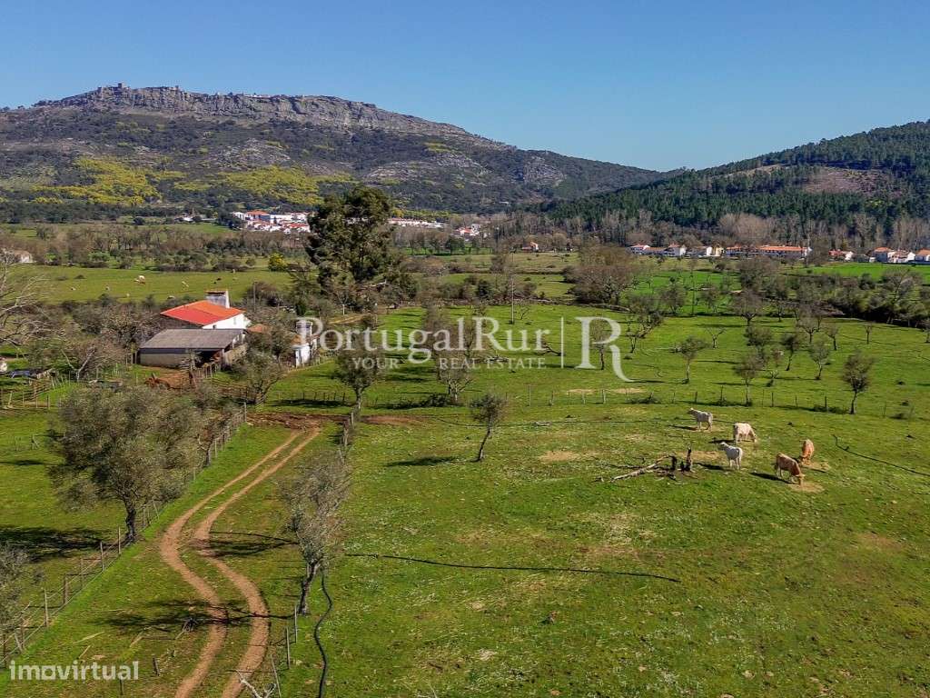 Quinta de 9 hectares em Marvão - Grande imagem: 3/60