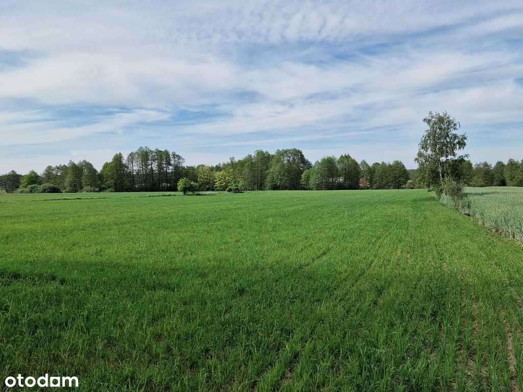 Nieruchomość idealna na inwestycję - agroturystykę-1