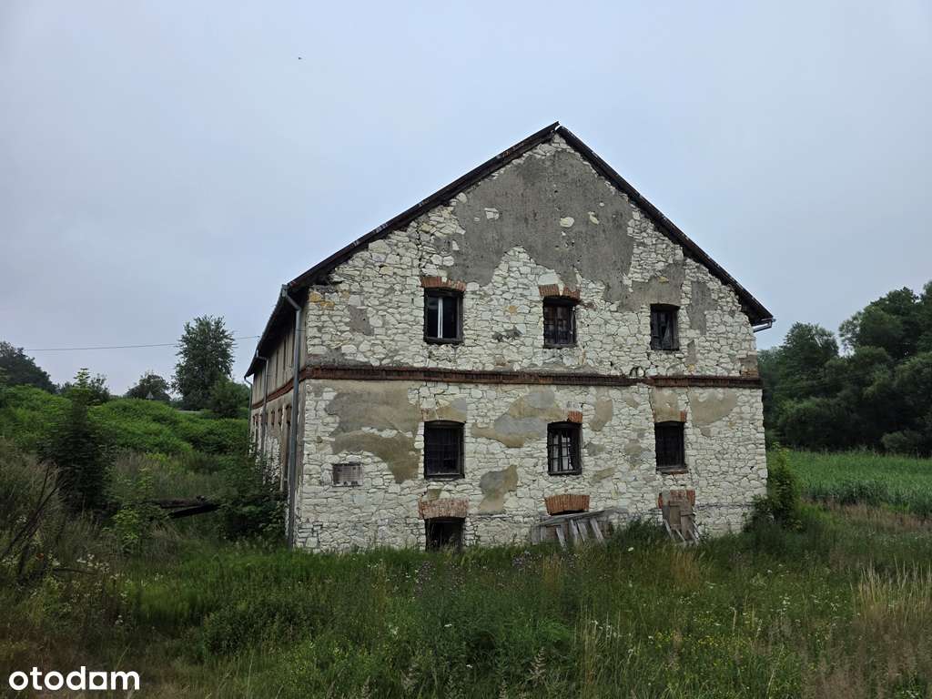 Zabytkowy Młyn, budynki gospodarcze, rzeka, las-7