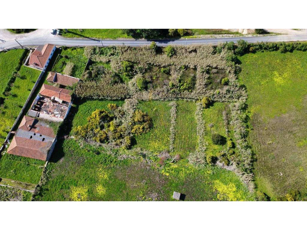 Terreno com 1,5 Hectarescom 4 Habitações junto ao Cabo da Roca-20