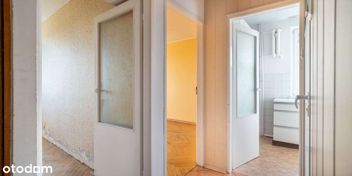 Sopot z pięknymi widokami na las i panoramę miasta-11