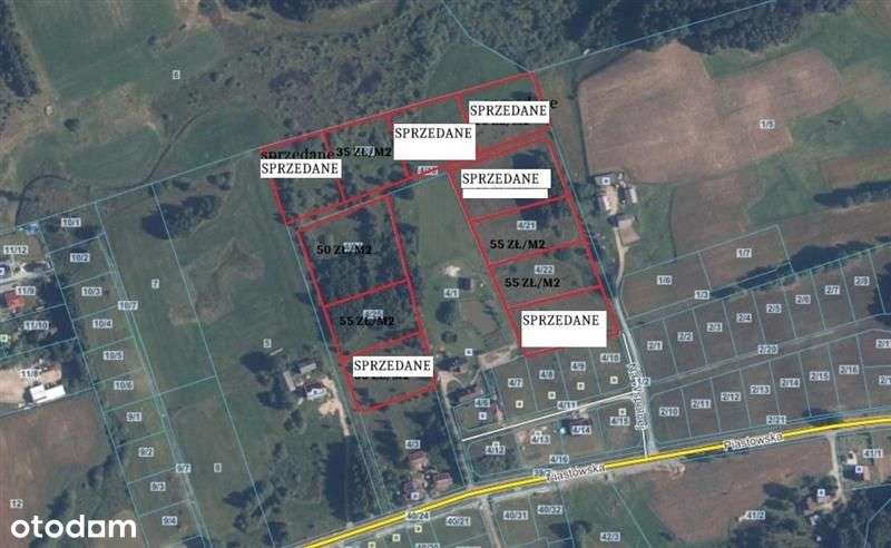 Nowa Wieś Przywidzka | Blisko Omt | Urokliwe - Pełny obrazek: 4/4