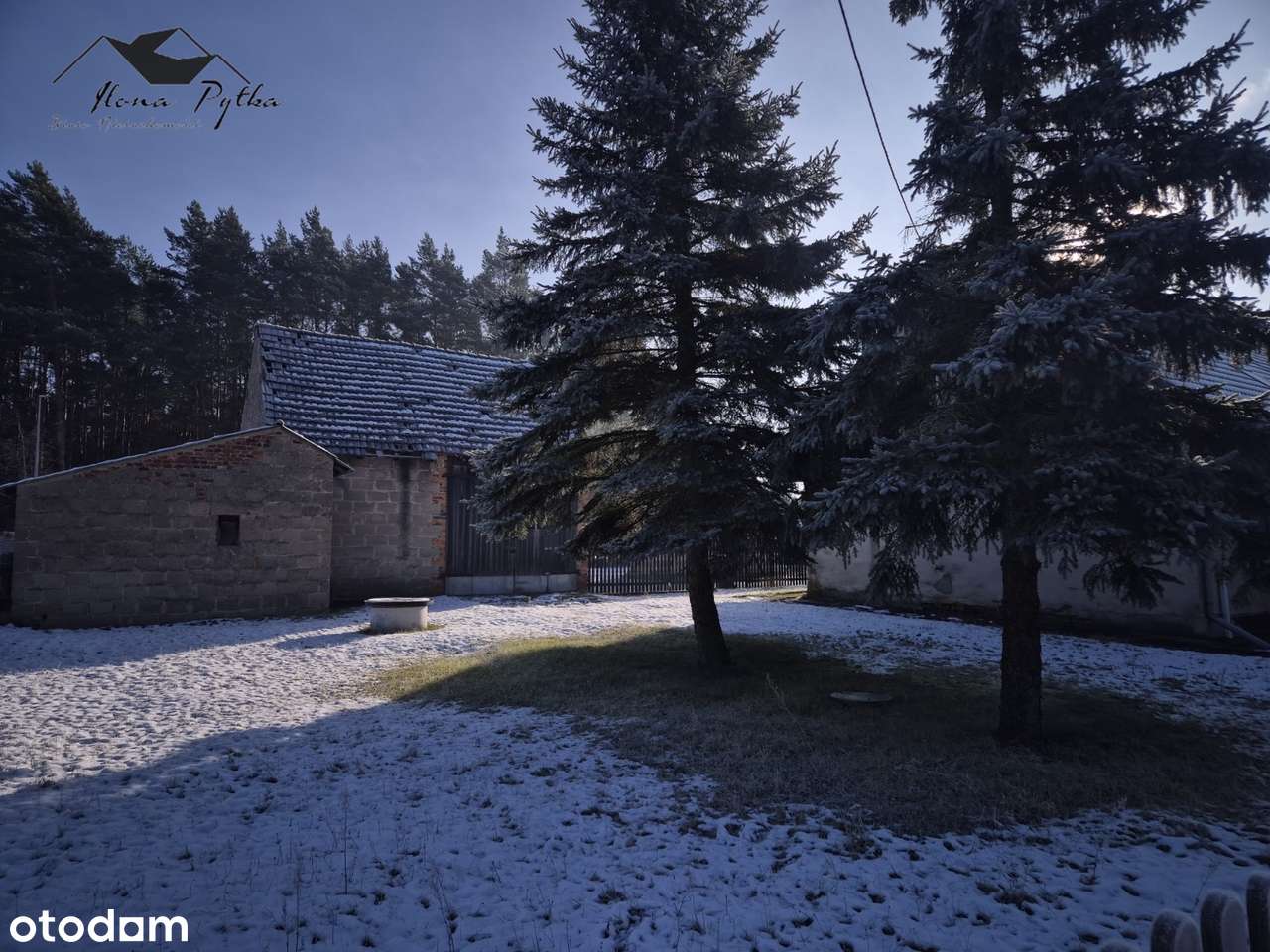 Dom pod lasem z zabudowaniami gospodarczymi 16km od Opola-9