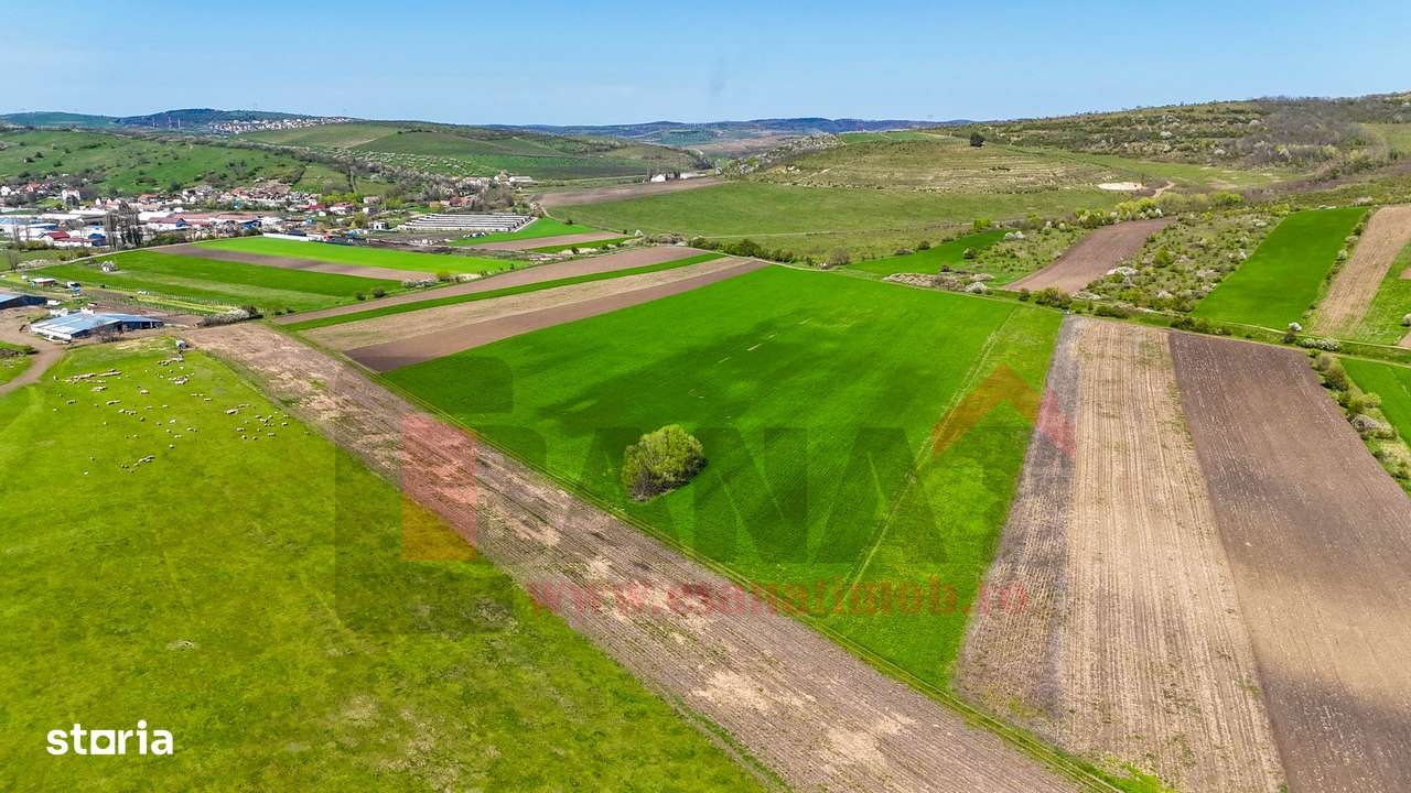 Teren 3.000 mp cu panorama superba asupra Sibiului |SkyVideo-6