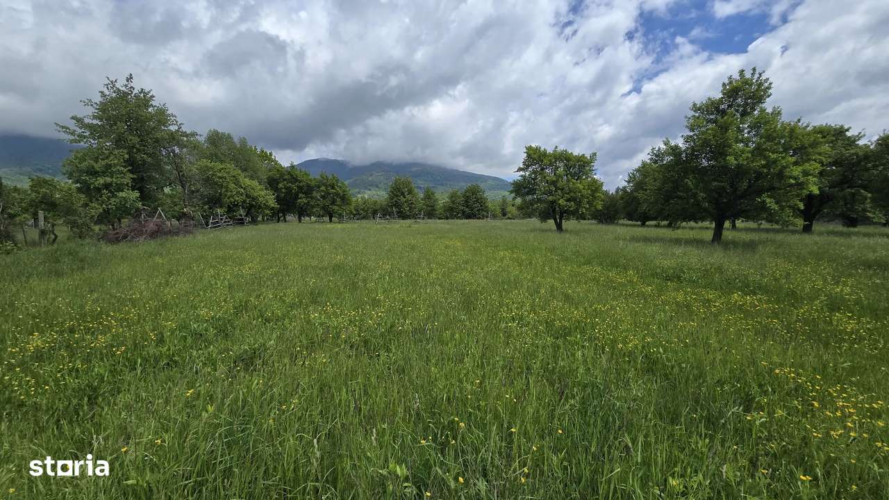teren intravilan - 2 minute de centru Prundu Bargaului - 26 parcele-4