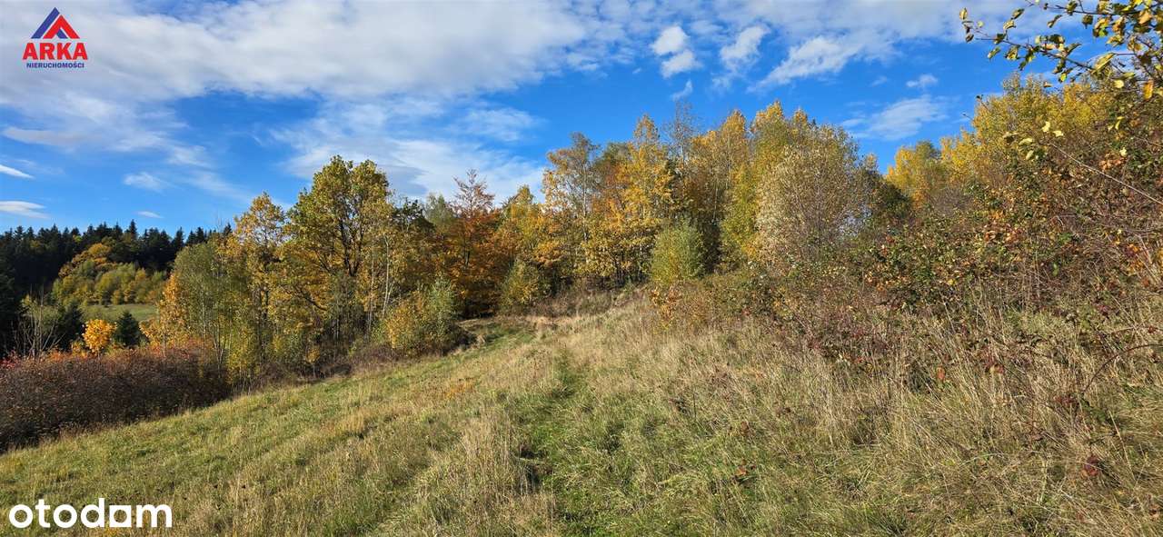 Widokowa działka z panoramą Beskidu Wyspowego-6