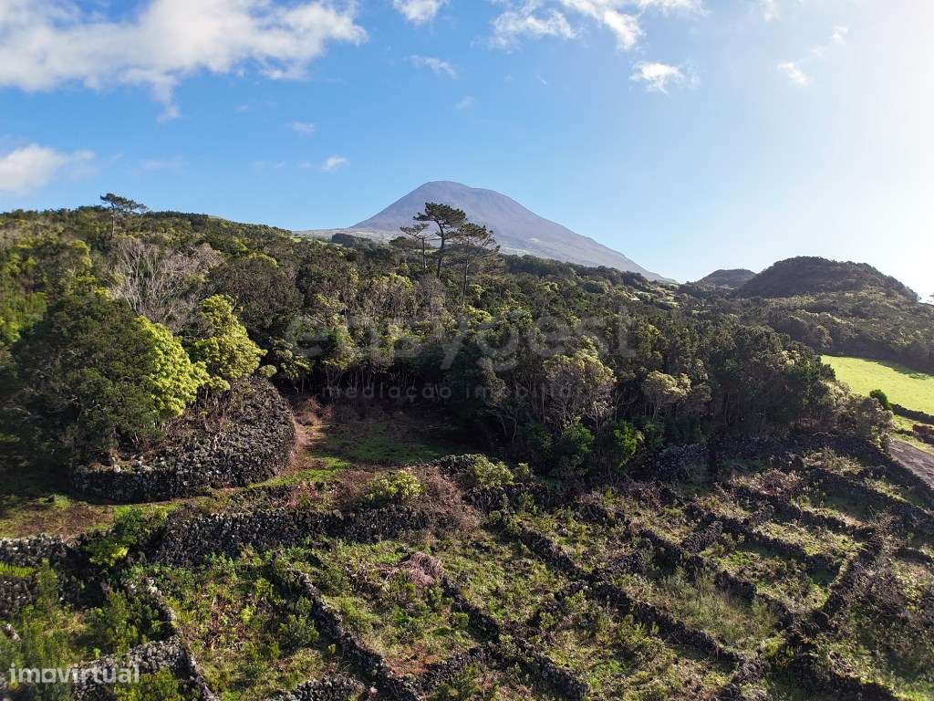 Terreno com Vista Mar e Elevado Potencial Turístico - Grande imagem: 3/20