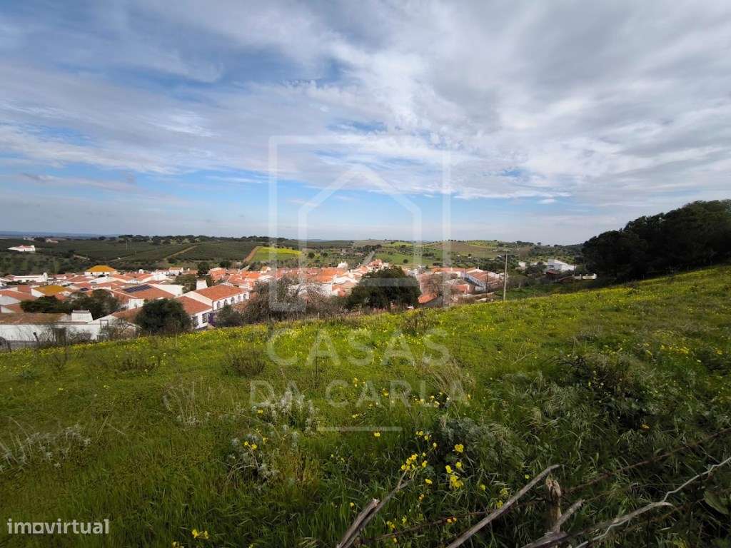 Terreno com 1.2 hectares em Vila Ruiva-9