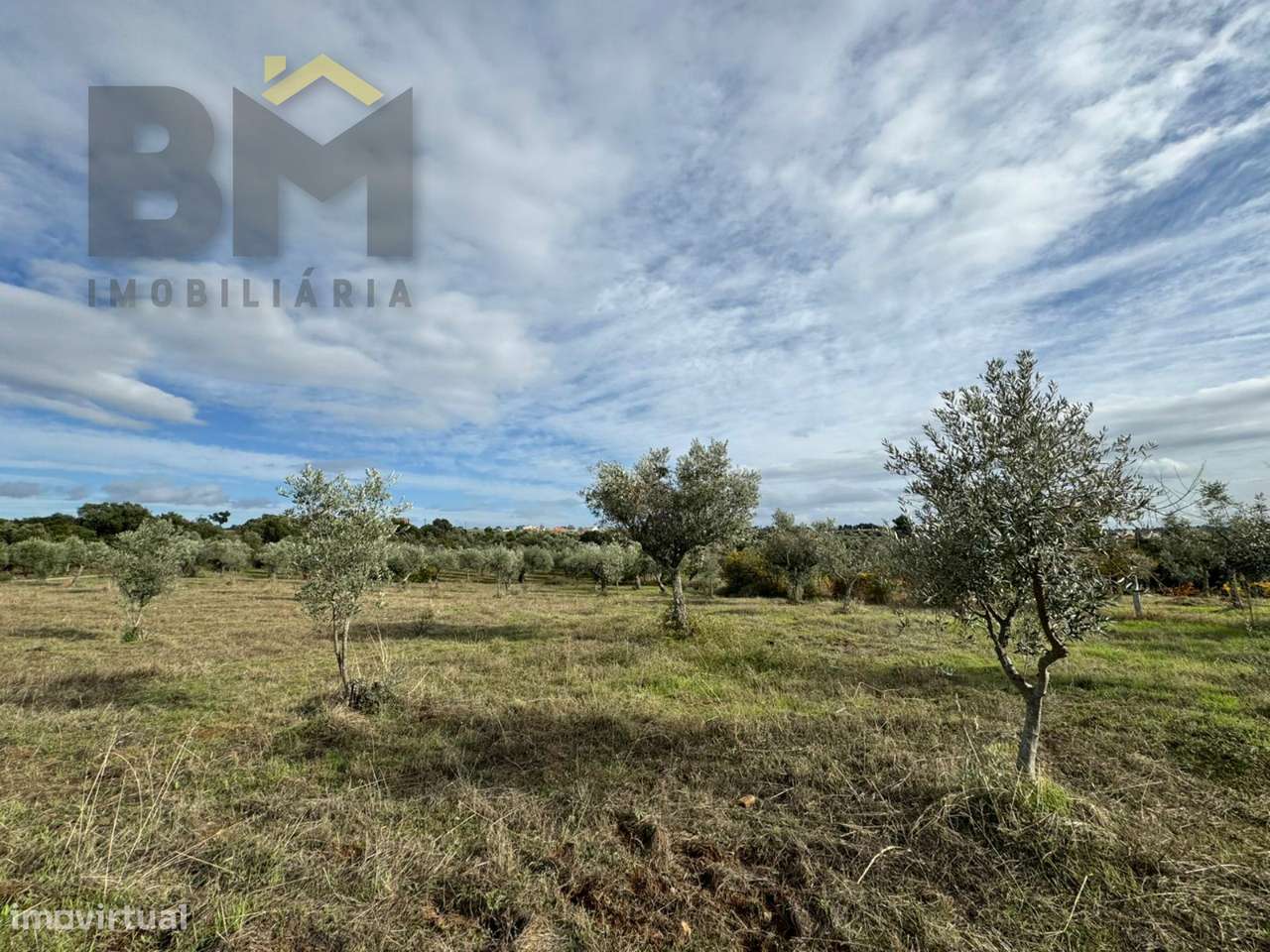 Terreno Rústico  Venda em Ninho do Açor e Sobral do Campo,Castelo Bran - Grande imagem: 4/8