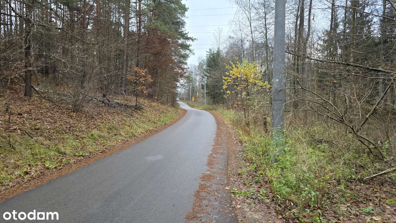 Działka budowlana w enklawie leśnej - Łupstych 1277m2 - Pełny obrazek: 5/9