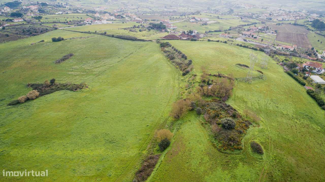 Quinta - 25 hectares-25