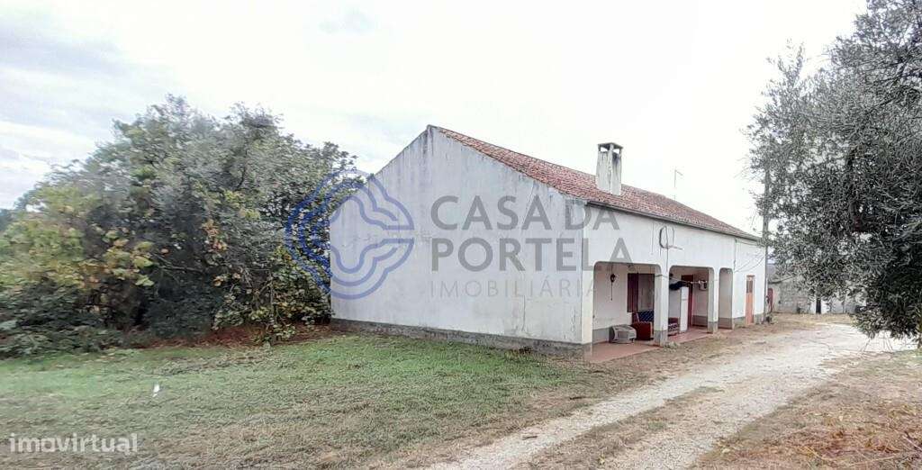 Terreno Rústico - Grande imagem: 5/12