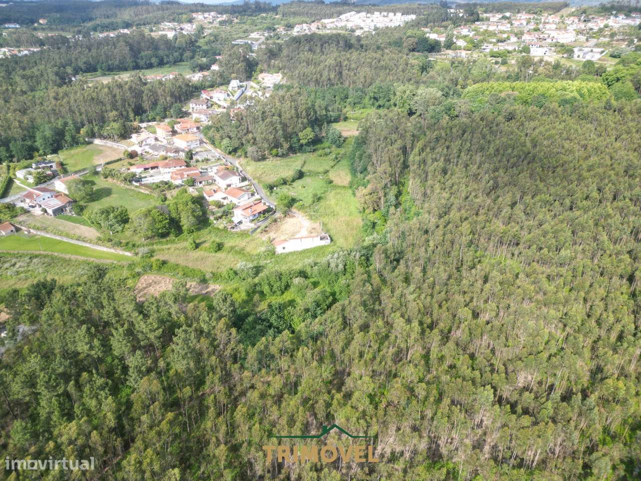Terreno Rústico  Venda em Pinheiro da Bemposta, Travanca e Palmaz,Oliv-5