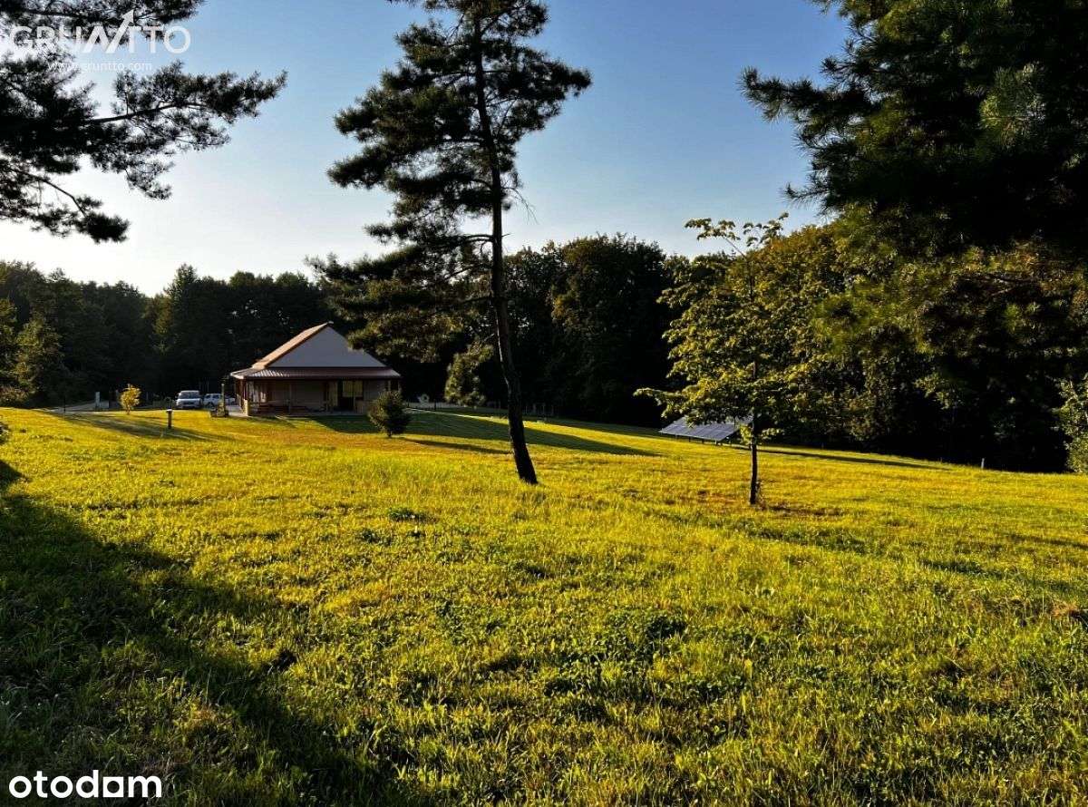 Matysówka - 32 ary pod wymarzony dom lub inwestycj - Pełny obrazek: 4/12