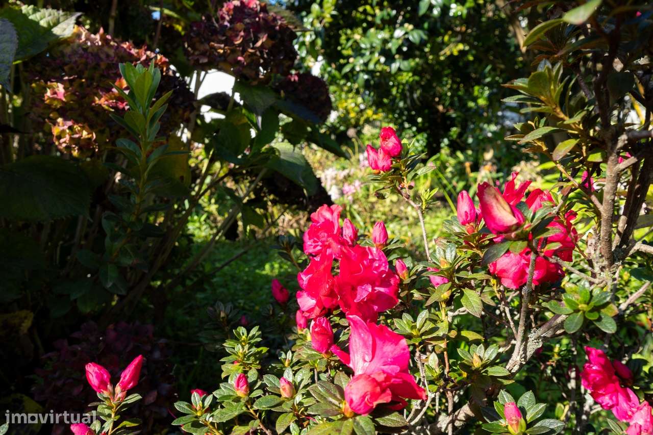 Moradia Isolada T2 Venda em Lobão, Gião, Louredo e Guisande,Santa Mari-40