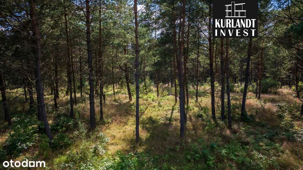 Działki budowlane w lesie-8