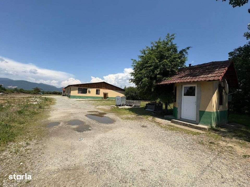 Complex industrial *hala 682 mp + teren 2,5 ha* - Tetila - Imagine principală: 2/10