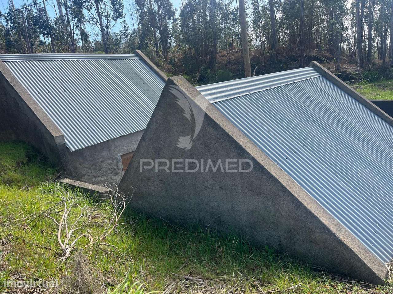 2 palheiros e 200m2 de terreno na zona Prime da Ponta do Pargo á be... - Grande imagem: 4/6