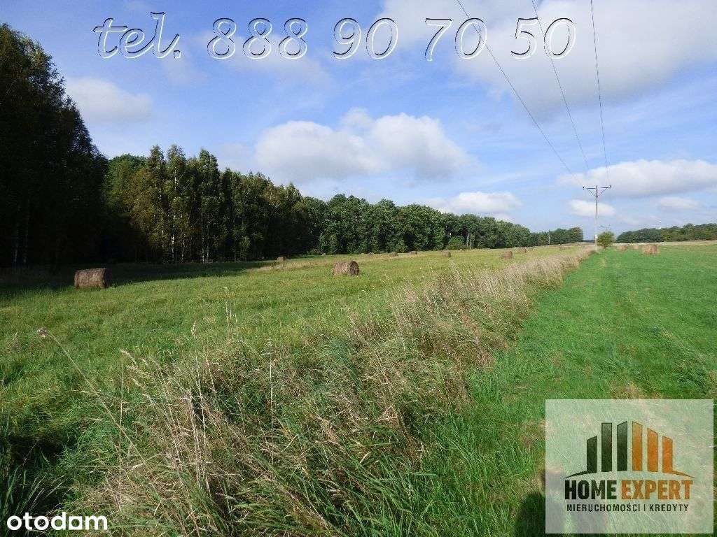 Atrakcyjne działki Trójca koło Zgorzeleca - Pełny obrazek: 4/5