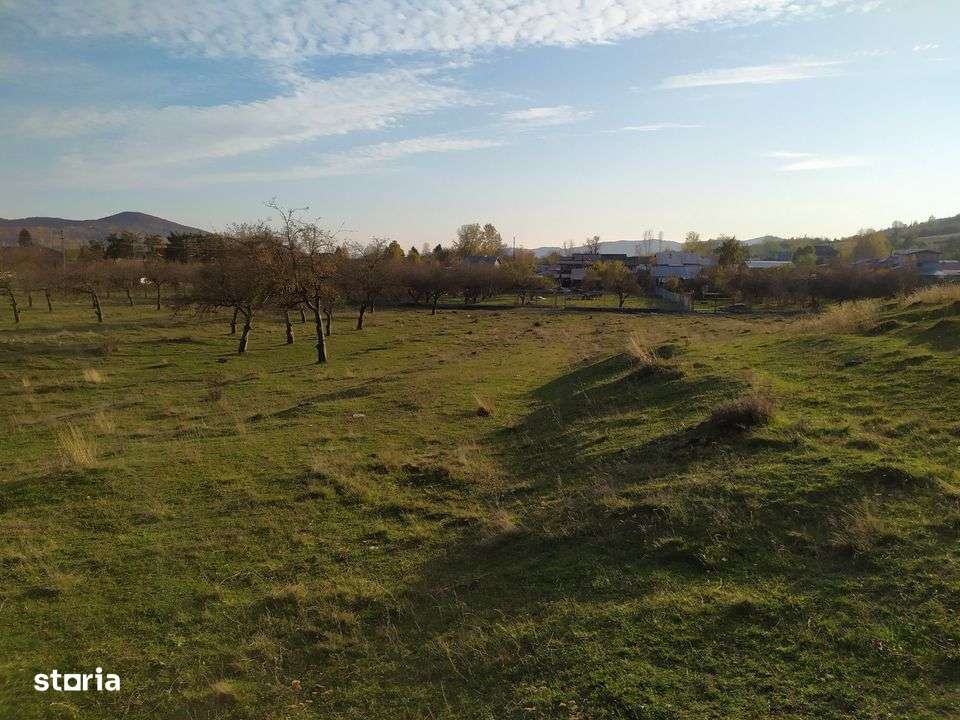 Proprietar Teren intravilan DE VÂNZARE Campina-PH (negociabil) - Imagine principală: 4/14