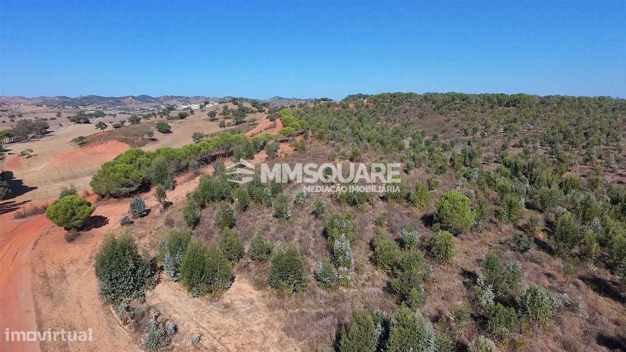 Herdade  Venda em Garvão e Santa Luzia,Ourique-34