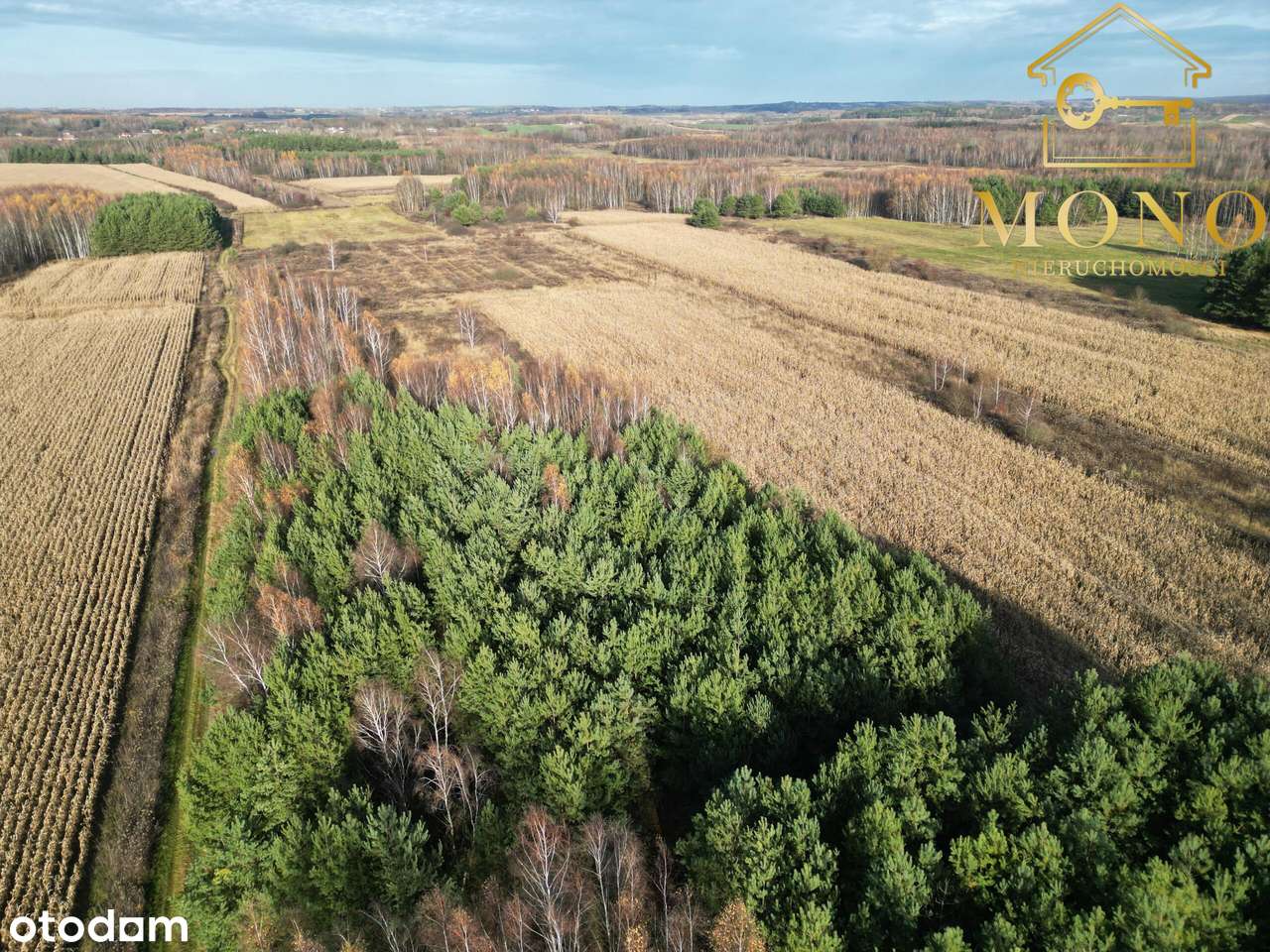 Działka 1,61 ha ok. 10 km od Buska-Zdrój-15