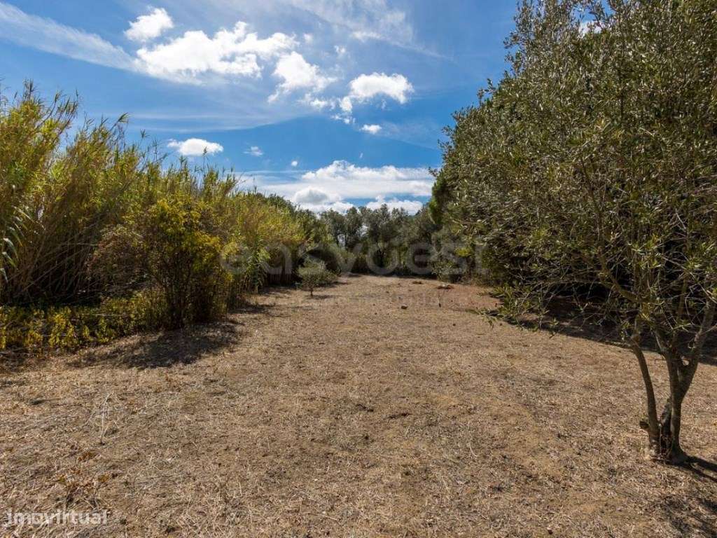 Quinta em Cascais com 10.000m2 - Grande imagem: 4/60