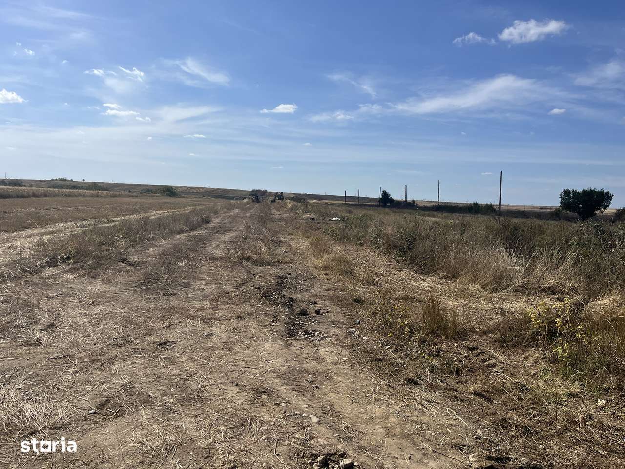 Teren Bradu 470 mp-4