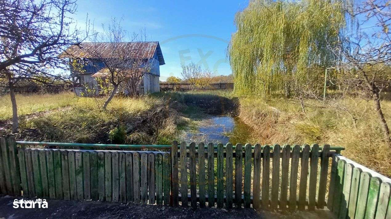 0% COMISION!!! CASA CU LAC IN INIMA PADURII  - DEALU BRADULUI-14