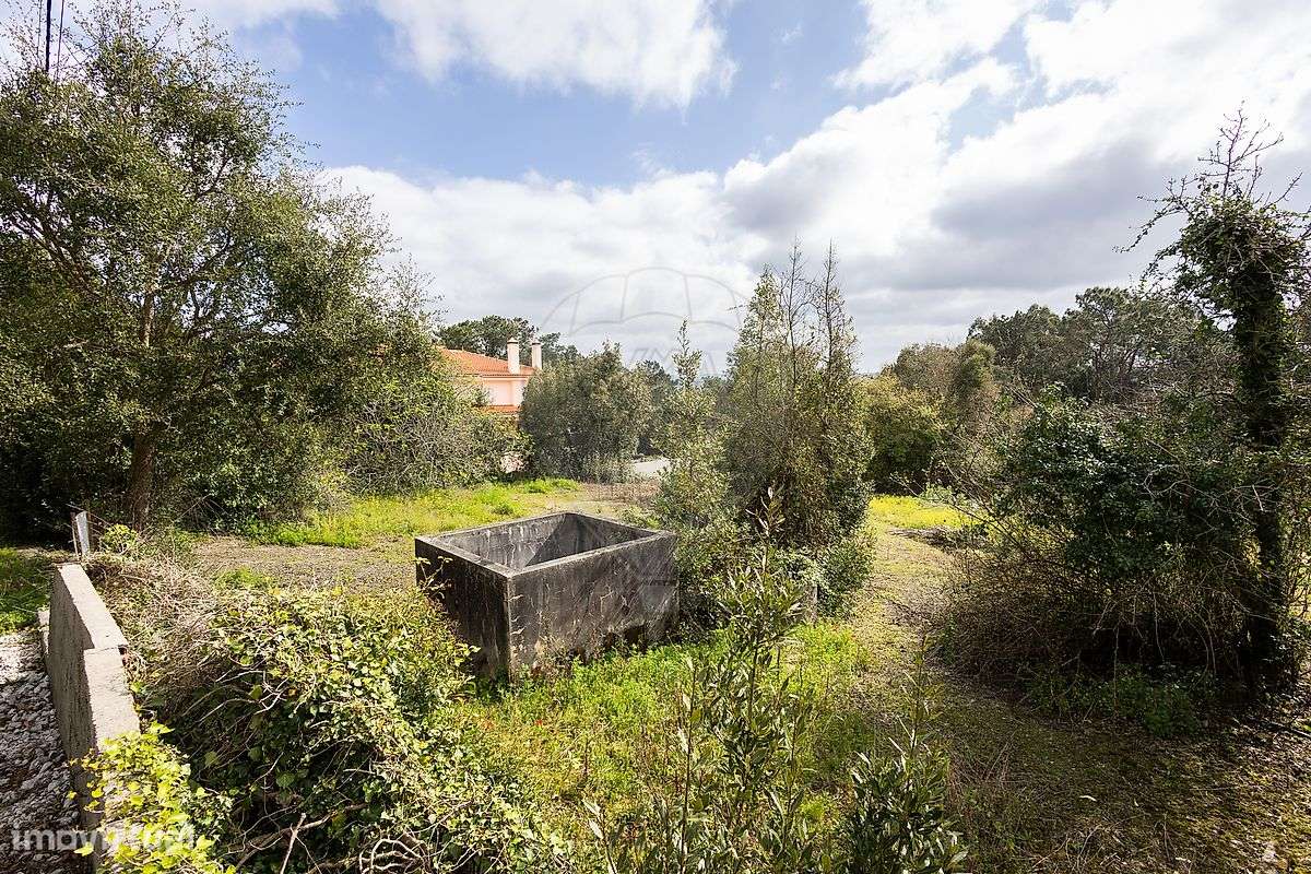 Terreno  para venda - Grande imagem: 5/18