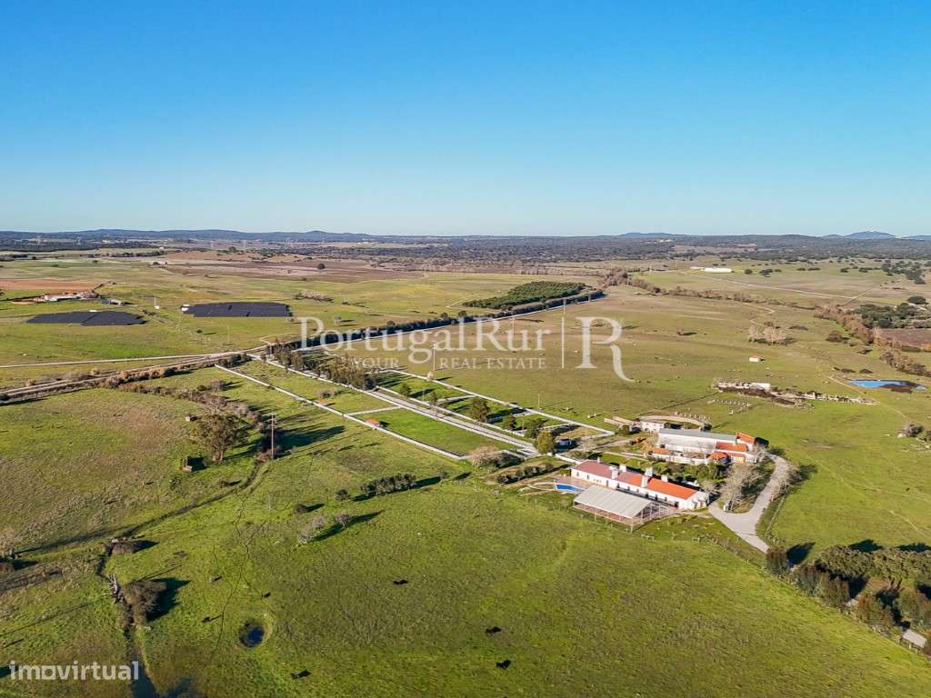 Herdade com 960 hectares na região de Évora - Grande imagem: 4/19