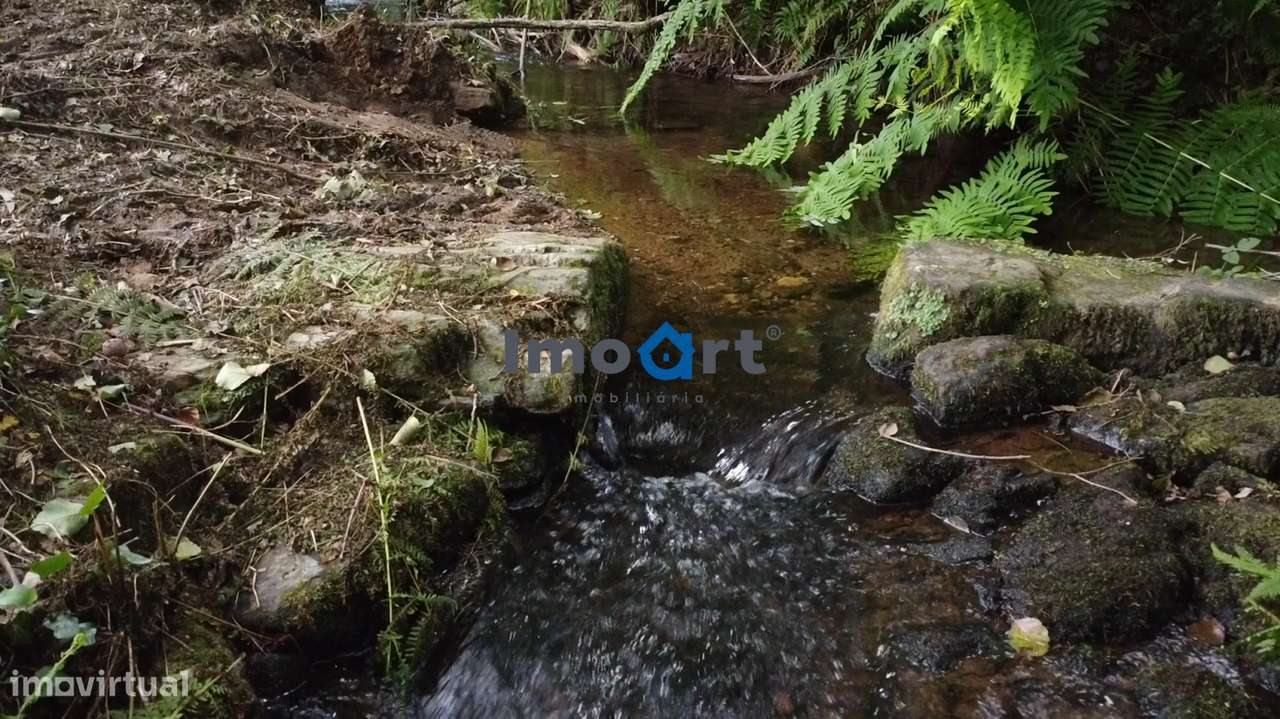 Quinta/Moradia em Pedra com 5.500 m² de Terreno em Fornelos – Ponte-13