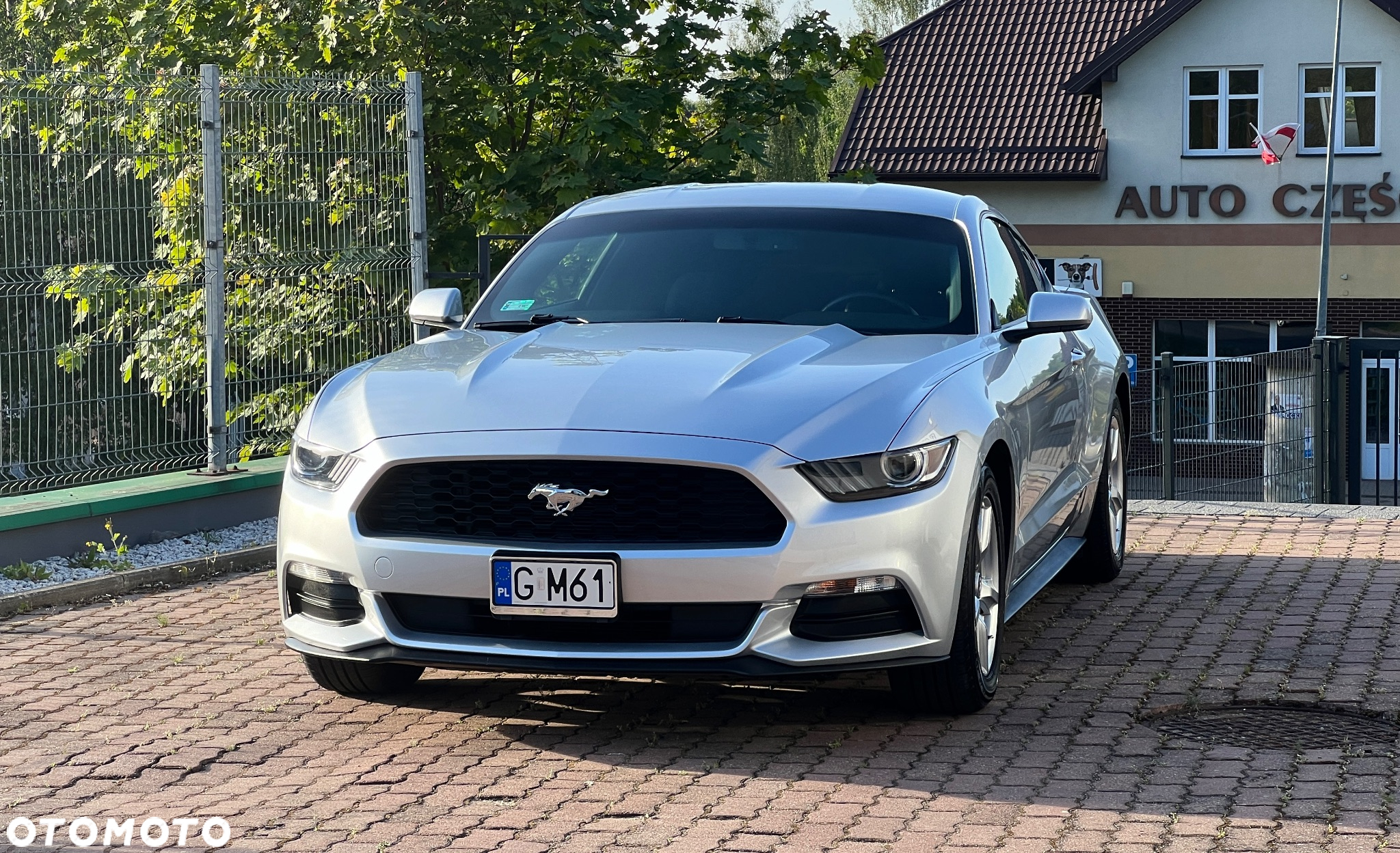 Ford Mustang 3.7 V6 - 2