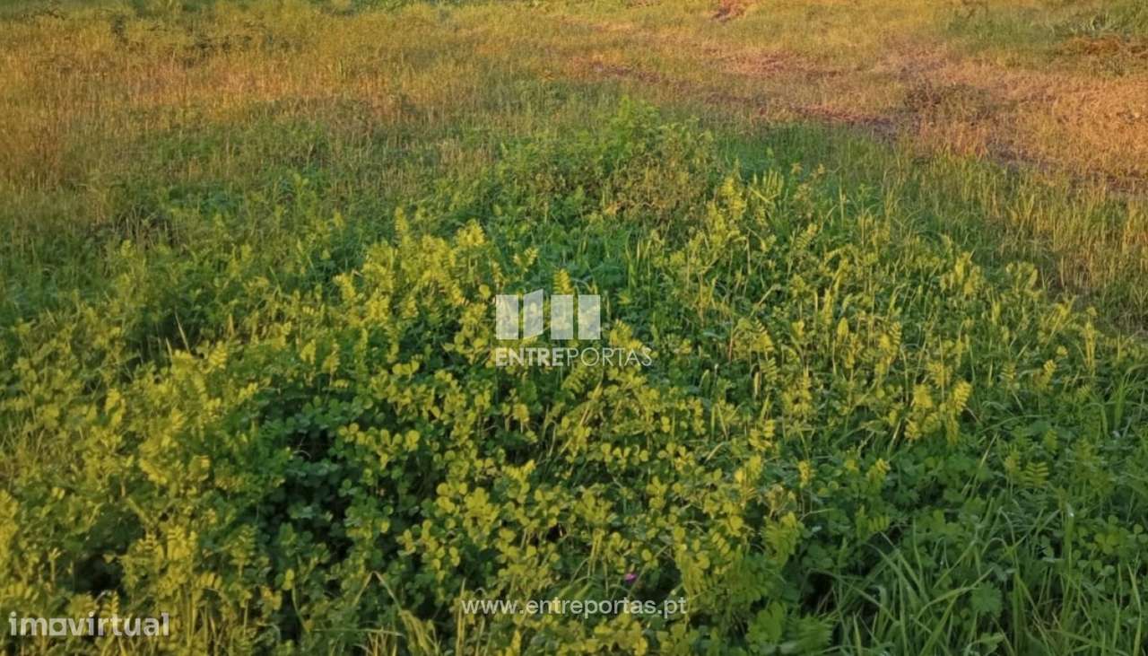 Venda de Lote com 350 m2, Mosteiró, Vila do Conde - Grande imagem: 5/11