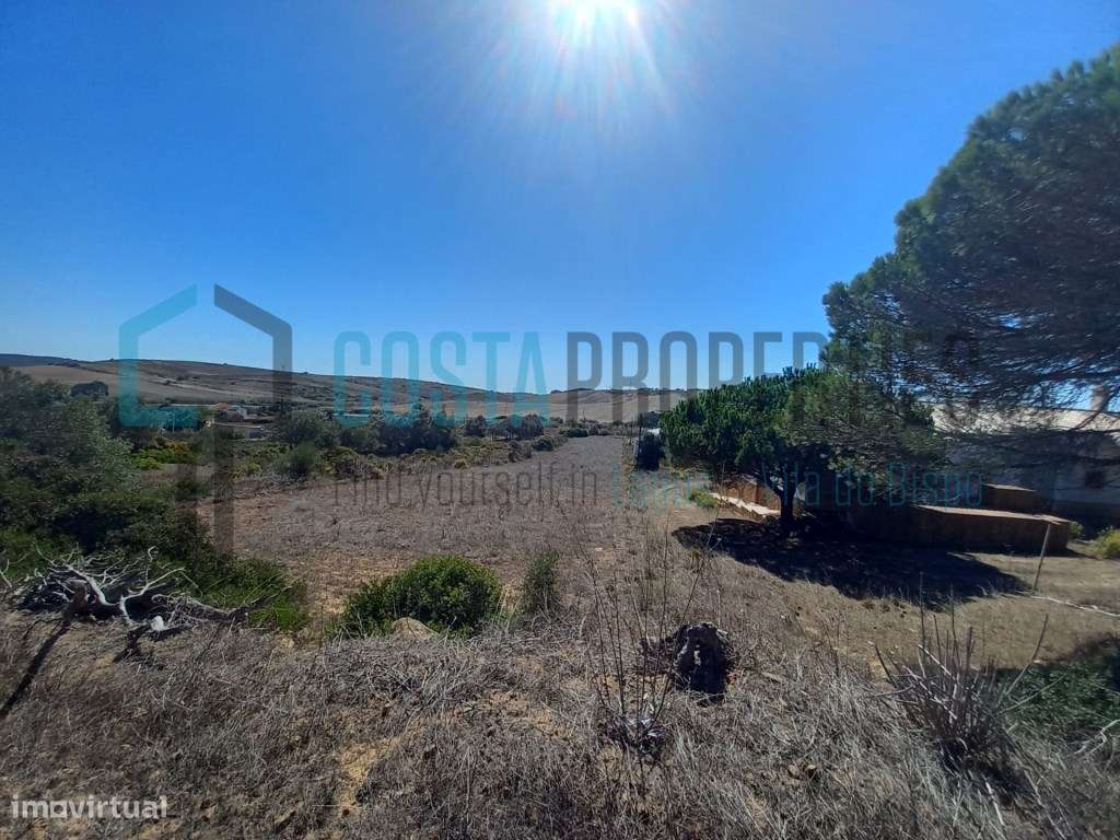 Terreno Rústico com Eletricidade perto e Bom Acesso - Grande imagem: 4/7