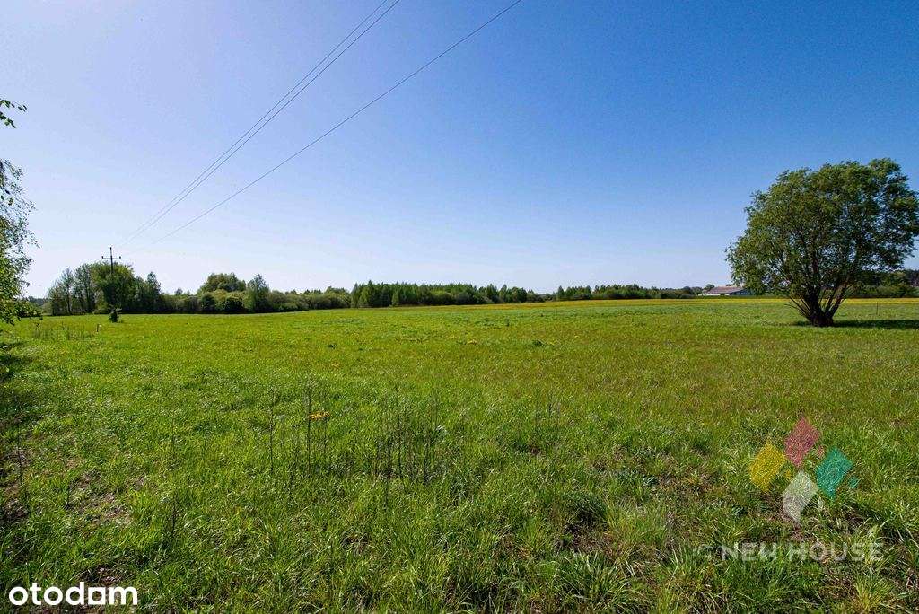 Działka budowlana w okolicy Jeziora Kalwa - Pełny obrazek: 4/10