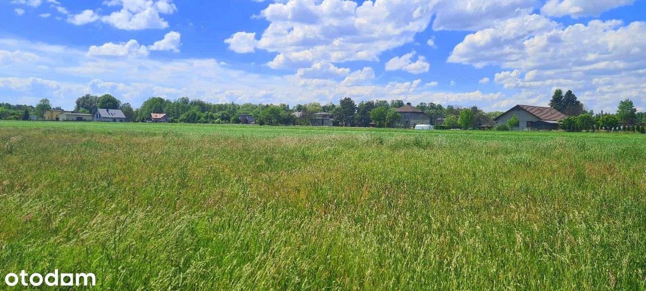 Orzesze działka idealna pod inwestycję - Pełny obrazek: 3/4