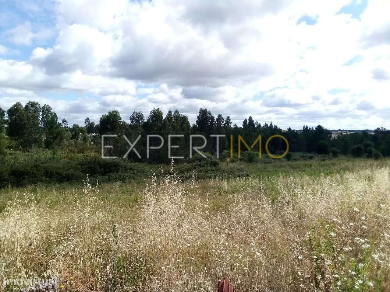 Terreno Manique do Intendente Azambuja com 2,6 hectares - Grande imagem: 5/19