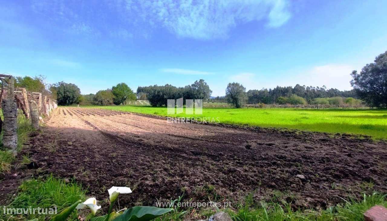 Venda de terreno agrícola, Alvarães, Viana do Castelo - Grande imagem: 5/14