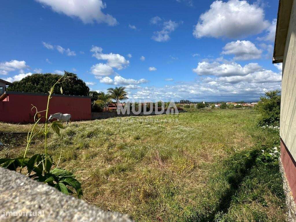 Terreno Rústico com Potencial de Construção – Perto do Centro de Estar - Grande imagem: 5/5